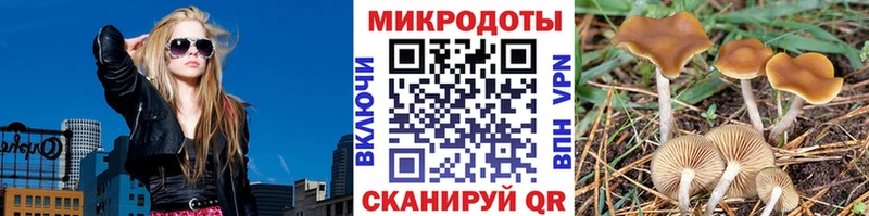 Галлюциногенные грибы Cubensis  Болотное 